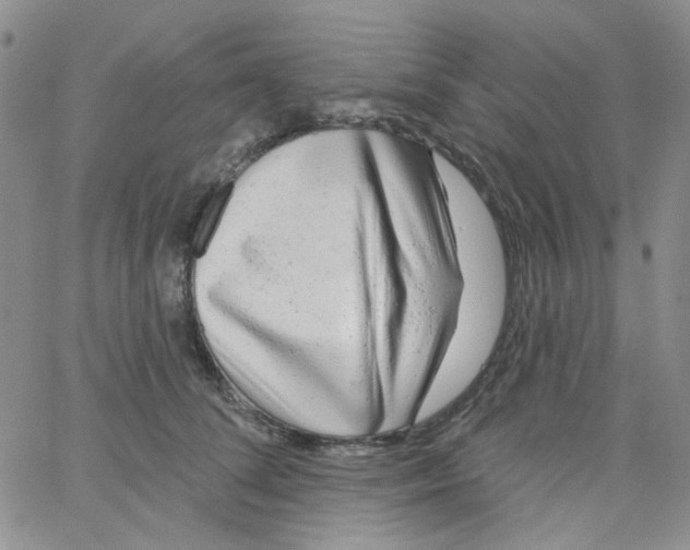 X0000062910708200602101832