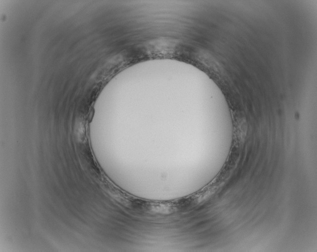 X0000062910709200602101832