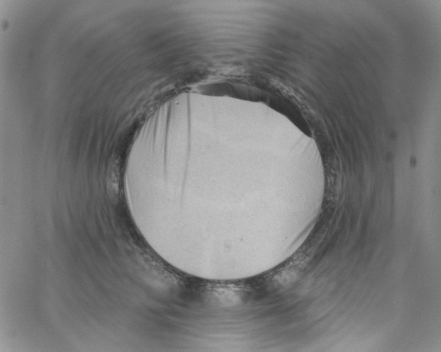 X0000062910710200602101832