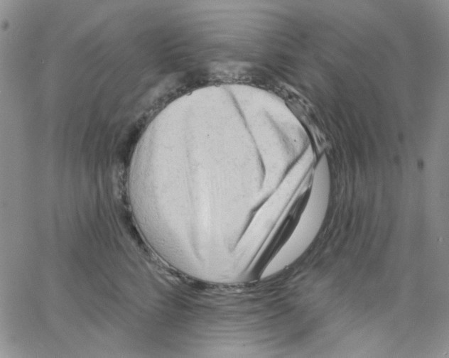 X0000062910712200602101832