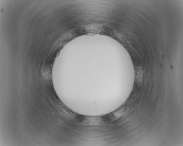 X0000062910713200602101832