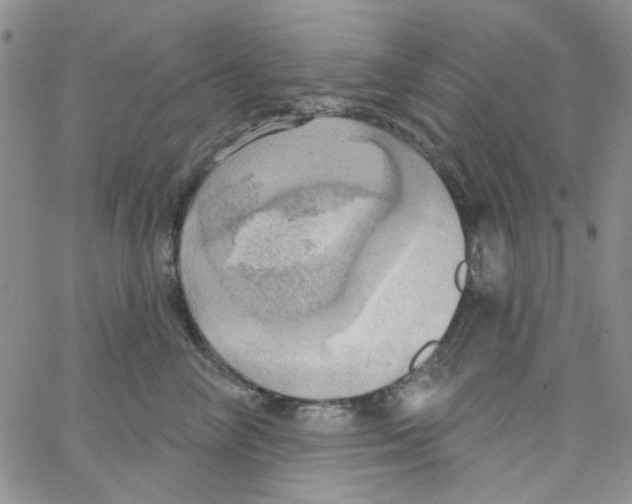 X0000062910714200602101832