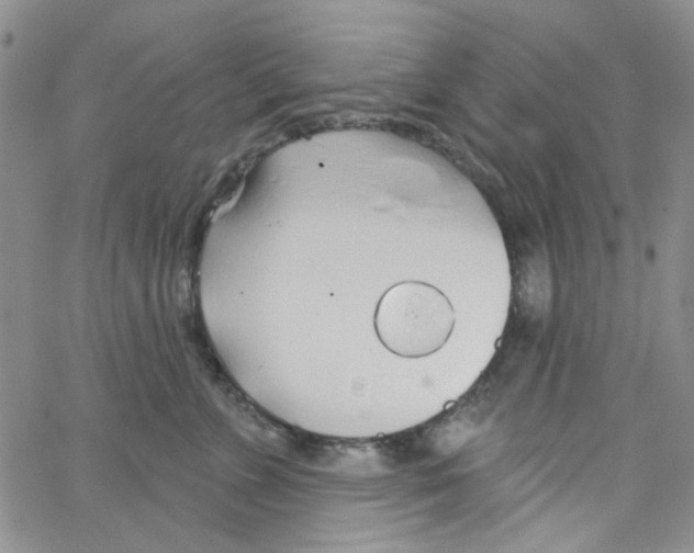 X0000062910715200602101832