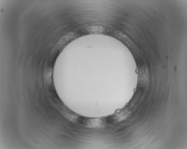 X0000062910717200602101832