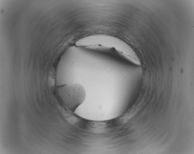 X0000062910719200602101832