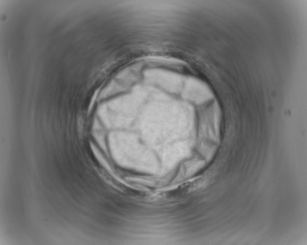 X0000062910720200602101832