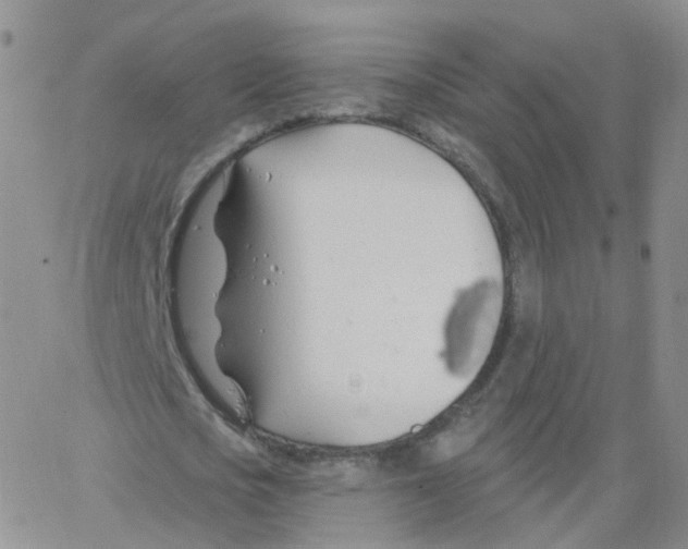 X0000062910721200602101831