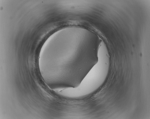 X0000062910722200602101831