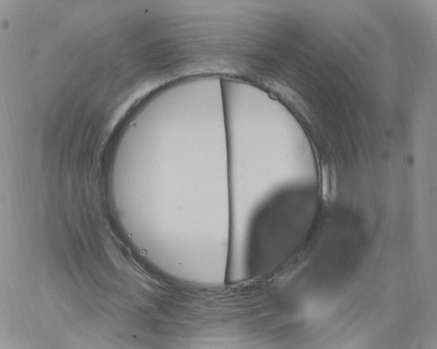 X0000062910723200602101831