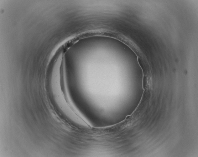 X0000062910724200602101831