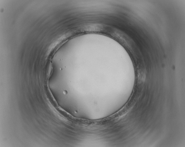 X0000062910725200602101831