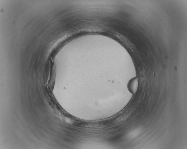 X0000062910727200602101831