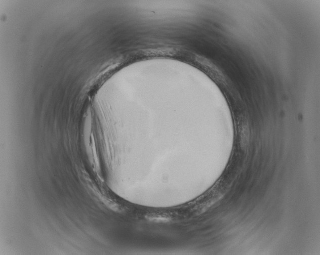 X0000062910729200602101831