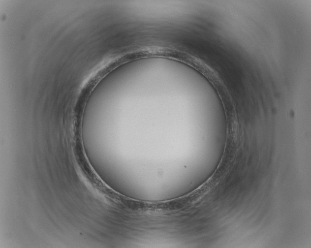 X0000062910730200602101831