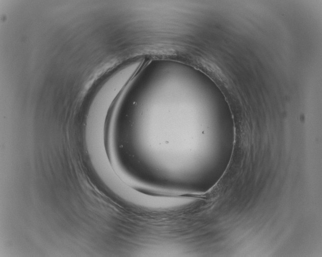 X0000062910731200602101831