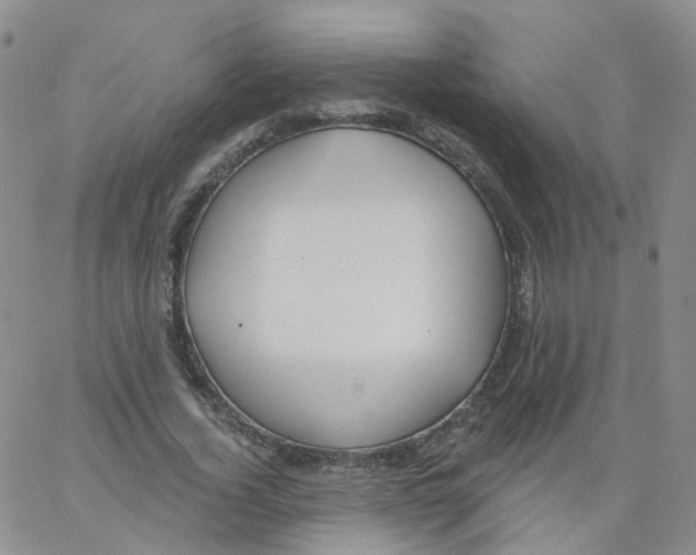 X0000062910732200602101831