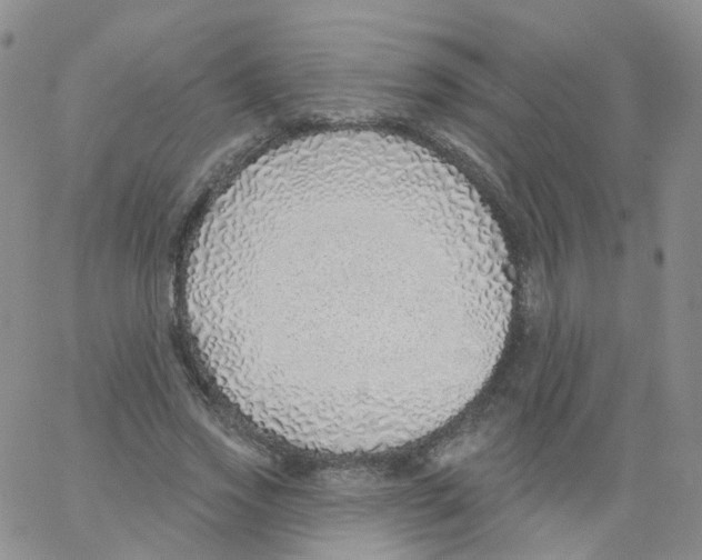 X0000062910733200602101831