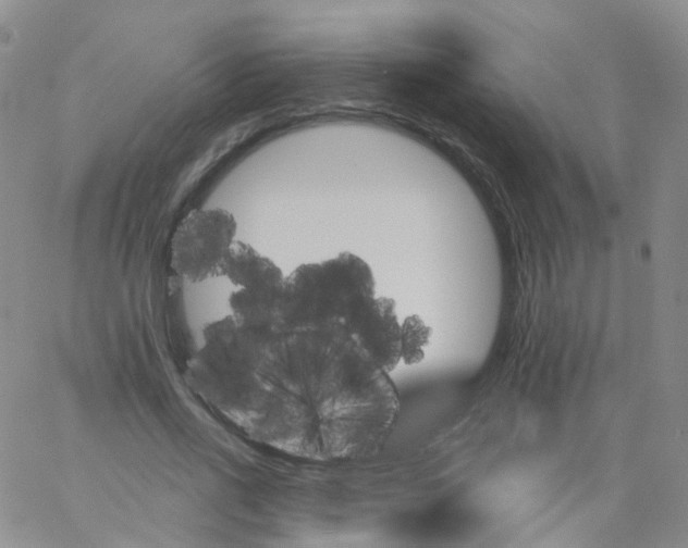 X0000062910734200602101831