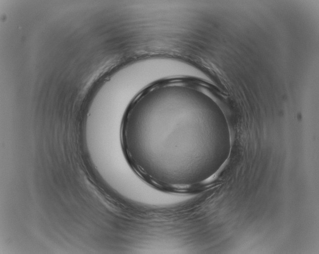 X0000062910735200602101831