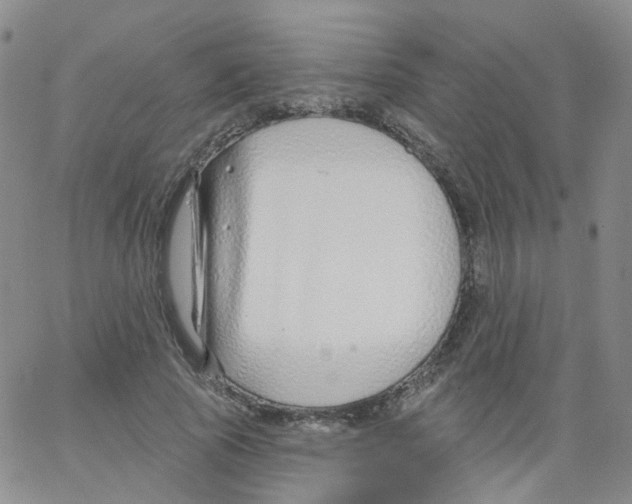 X0000062910737200602101831