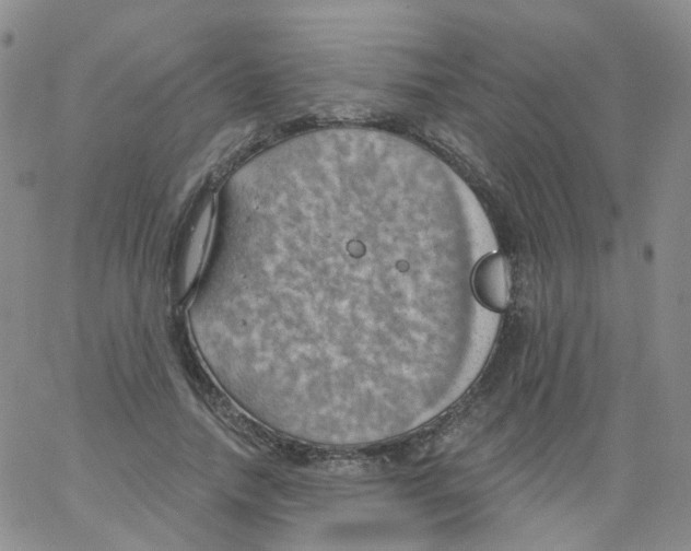 X0000062910738200602101831