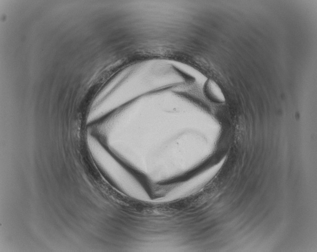 X0000062910739200602101831