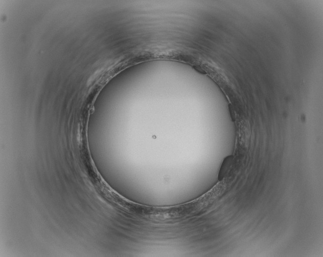 X0000062910740200602101831