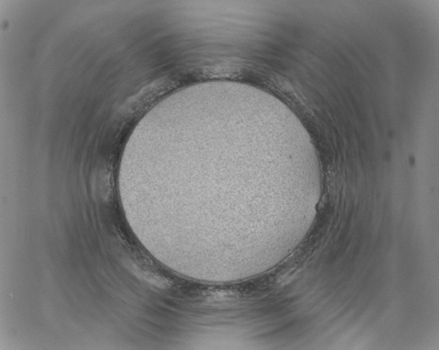 X0000062910741200602101831