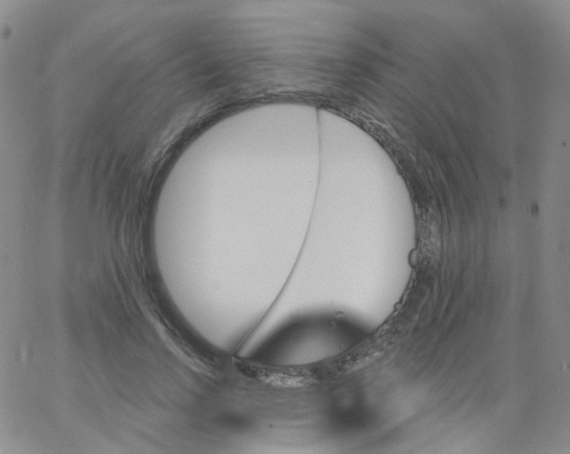 X0000062910742200602101831