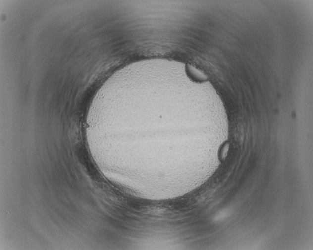 X0000062910743200602101831