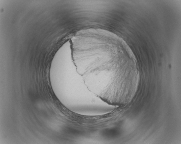 X0000062910745200602101831