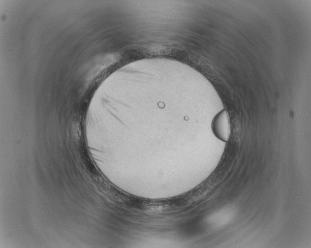 X0000062910746200602101831