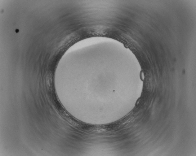 X0000062910747200602101831