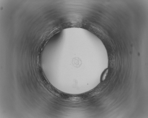 X0000062910748200602101831