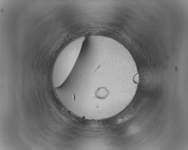 X0000062910750200602101831