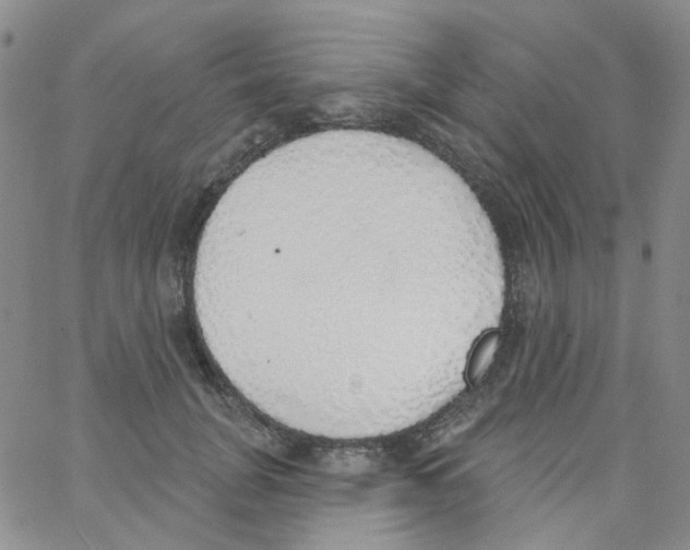 X0000062910751200602101831