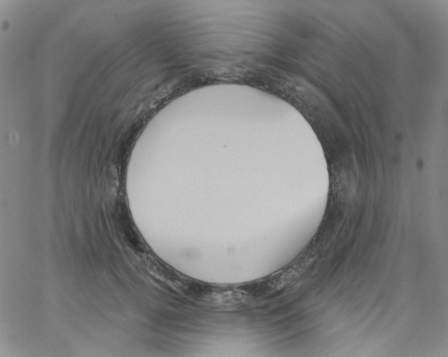 X0000062910752200602101831