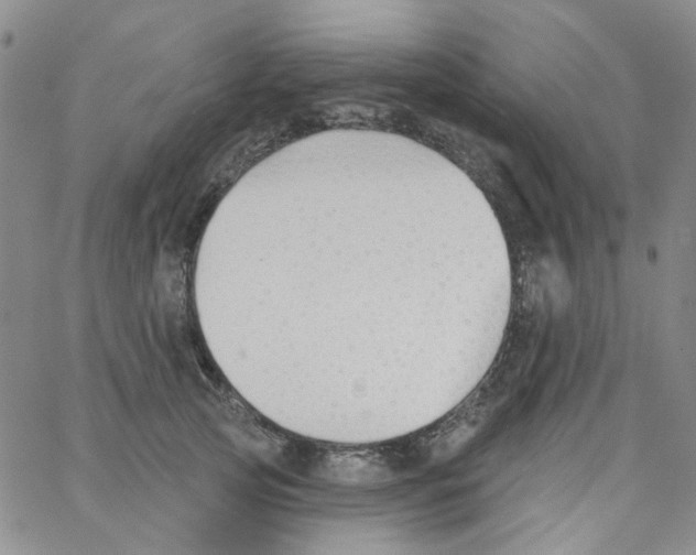 X0000062910753200602101832