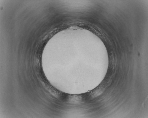 X0000062910754200602101832