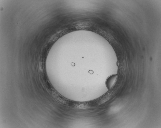 X0000062910755200602101832