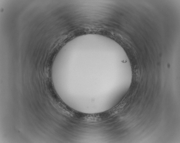 X0000062910756200602101832