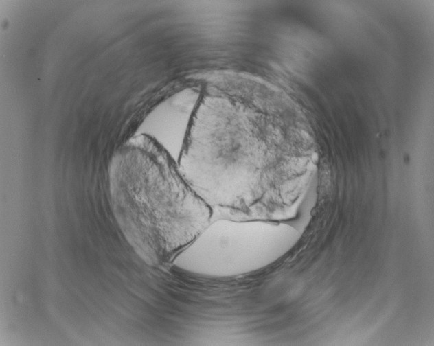 X0000062910757200602101832