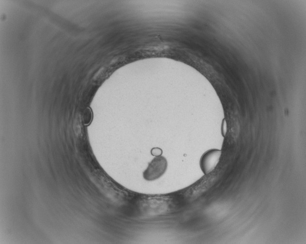 X0000062910758200602101832