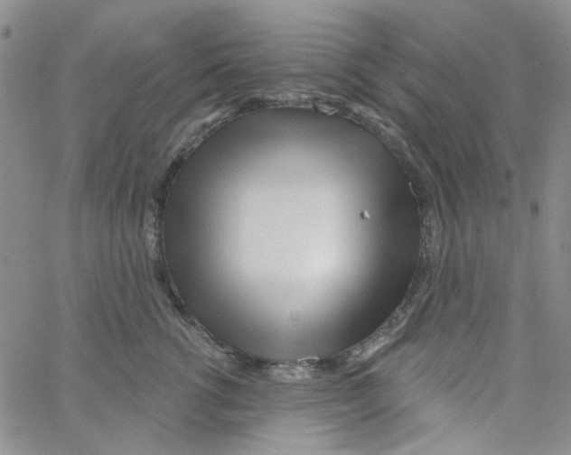 X0000062910762200602101832