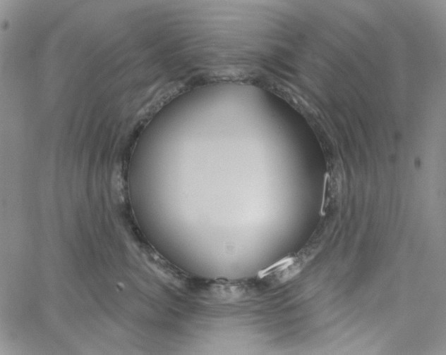 X0000062910764200602101832