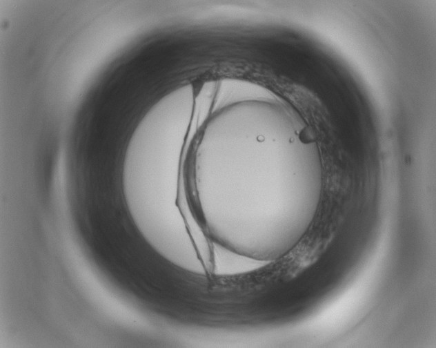 X0000062910765200602101832