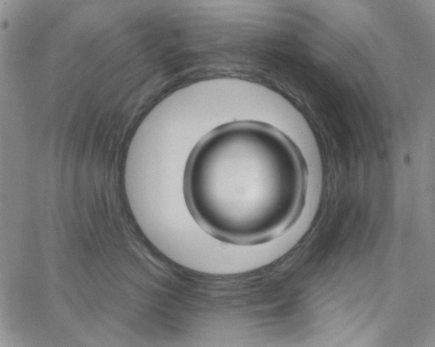 X0000062910766200602101832