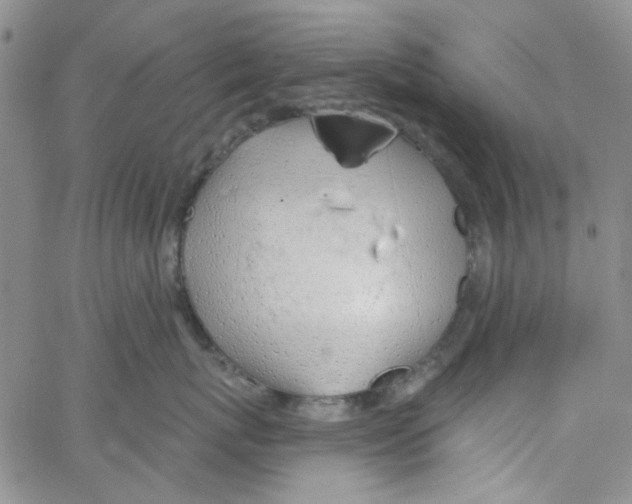 X0000062910767200602101832