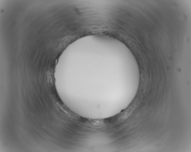 X0000062910768200602101832