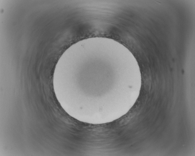 X0000062910769200602101831